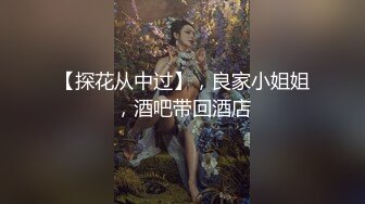 偷吃的好色女仆