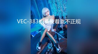 VEC-383按着按着就不正规了