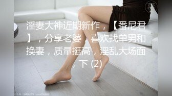 淫妻大神近期新作，【番尼君】，分享老婆，喜欢找单男和换妻，质量挺高，淫乱大场面，下 (2)