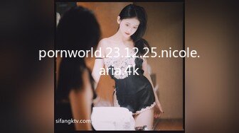 pornworld.23.12.25.nicole.aria.4k