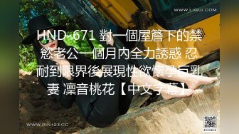 HND-671 對一個屋簷下的禁慾老公一個月內全力誘惑 忍耐到限界後展現性欲懷孕巨乳妻 凜音桃花【中文字幕】