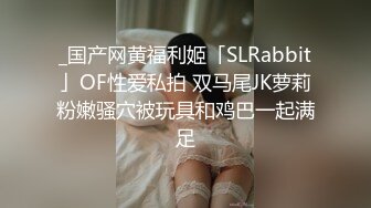 _国产网黄福利姬「SLRabbit」OF性爱私拍 双马尾JK萝莉粉嫩骚穴被玩具和鸡巴一起满足