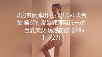 某房最新流出 打飞机1v1大合集 第6弹, 高端裸聊陪玩一对一 巨乳美女 诱惑自慰【48v】  (27)