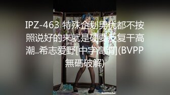 IPZ-463 特殊企划男优都不按照说好的来就是硬要反复干高潮..希志爱野[中字高清](BVPP無碼破解)