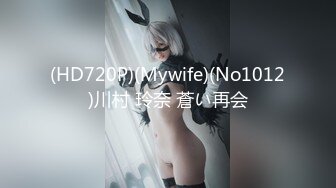 (HD720P)(Mywife)(No1012)川村 玲奈 蒼い再会