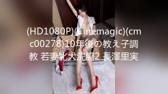 (HD1080P)(Cinemagic)(cmc00278)10年後の教え子調教 若妻牝犬浣腸2 長澤里実