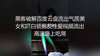 黑客破解百度云盘流出气质美女和IT白领男友性爱视频流出高速路上吃屌