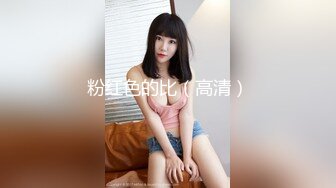 粉红色的比（高清）